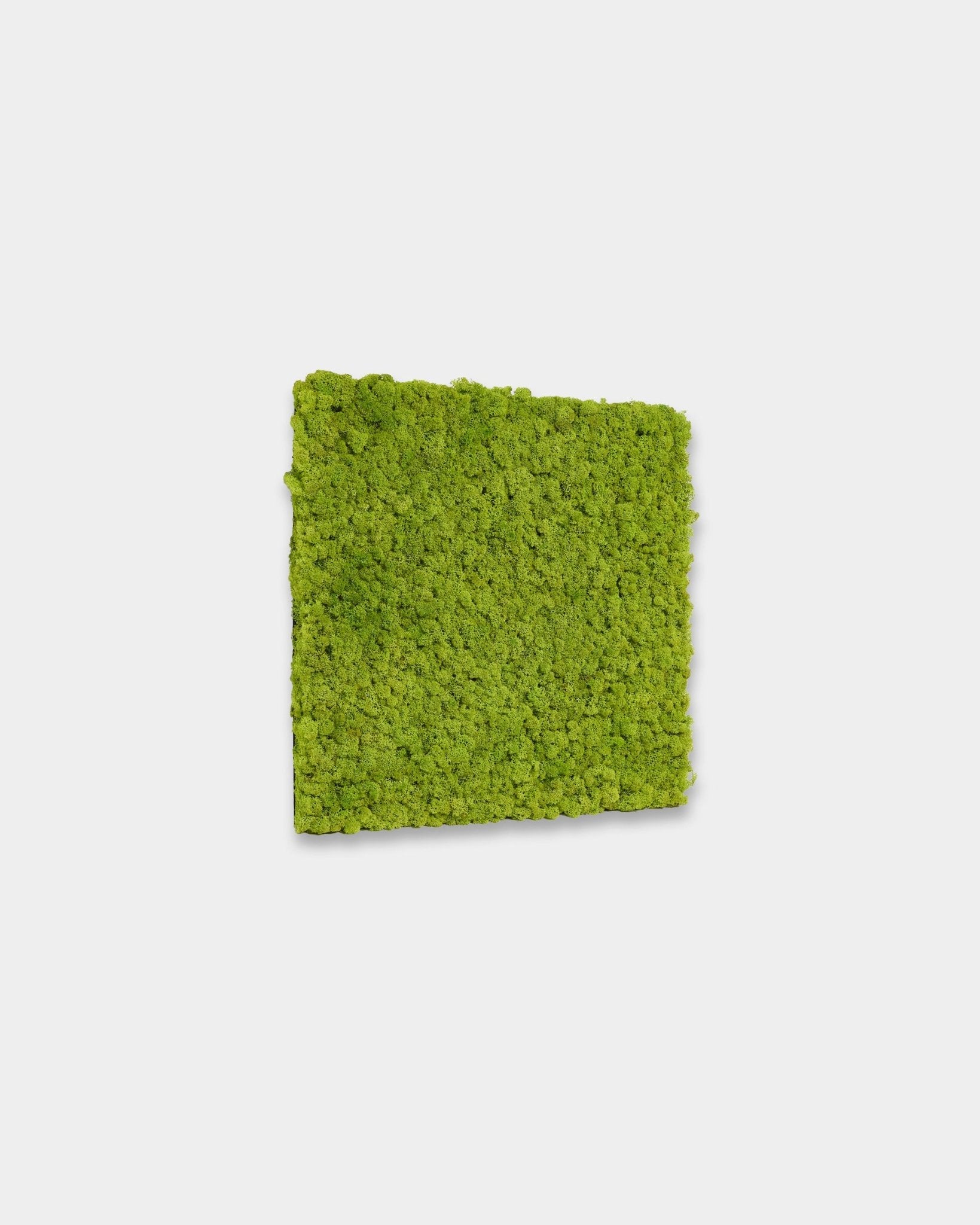 WoodUpp Akupixel Painel acústico em Apple Green, tamanho 60 x 60 cm, apresenta ripas verdes vibrantes sobre um fundo branco liso.