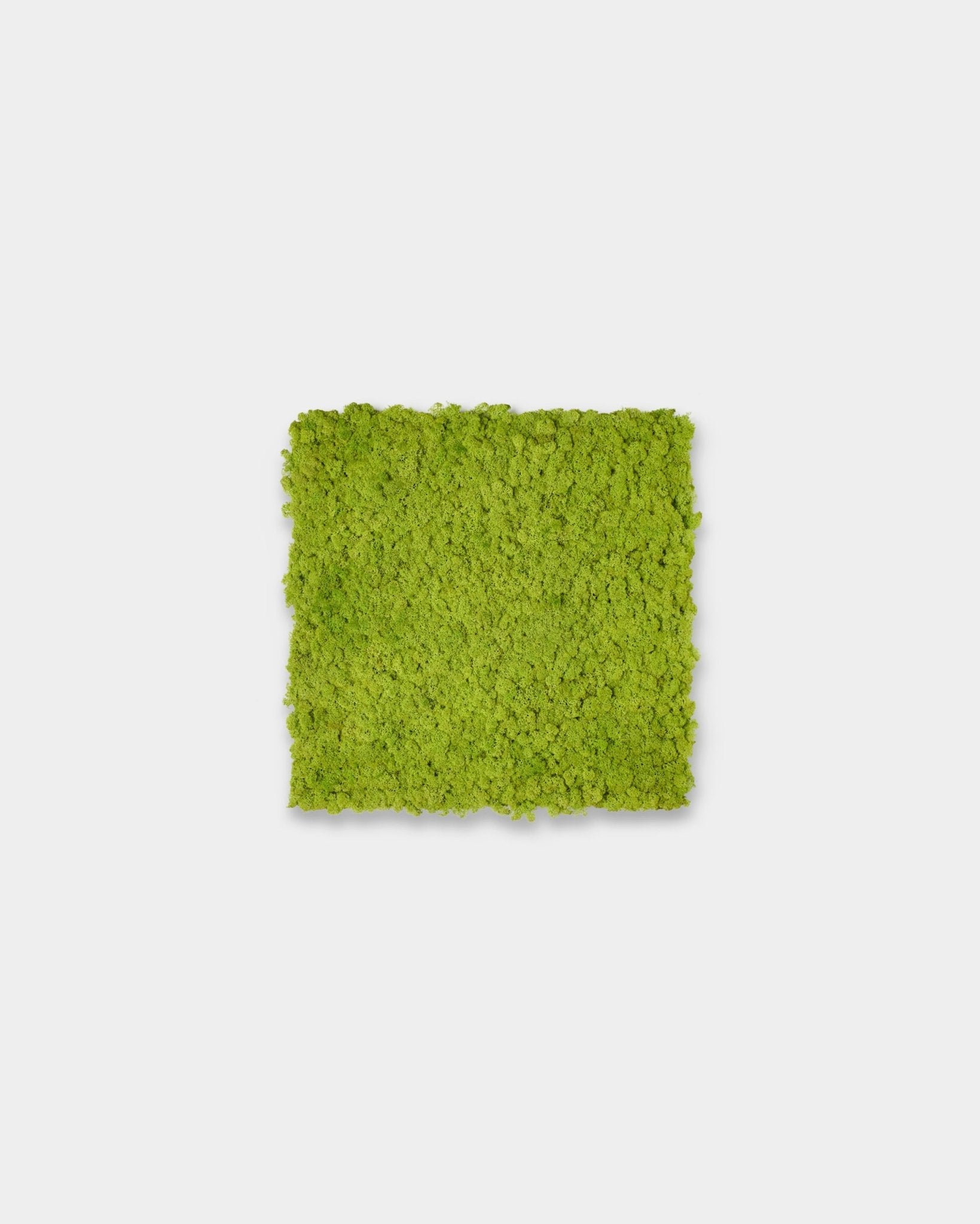 Akupixel Painel acústico em Apple Green, 60x60cm, da WoodUpp, apresentado como um apontamento quadrado sobre um fundo cinzento-claro liso.