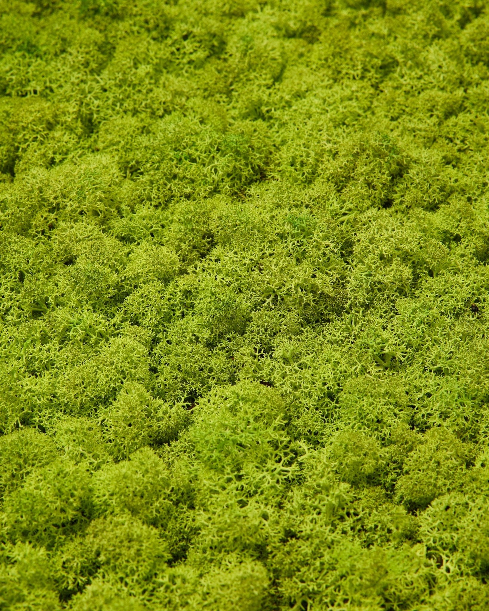 Plano aproximado do WoodUpp Akupixel Painel acústico em superfície Apple Green moss, 60x60 cm, com uma superfície moss densa e texturada para um visual nórdico natural.