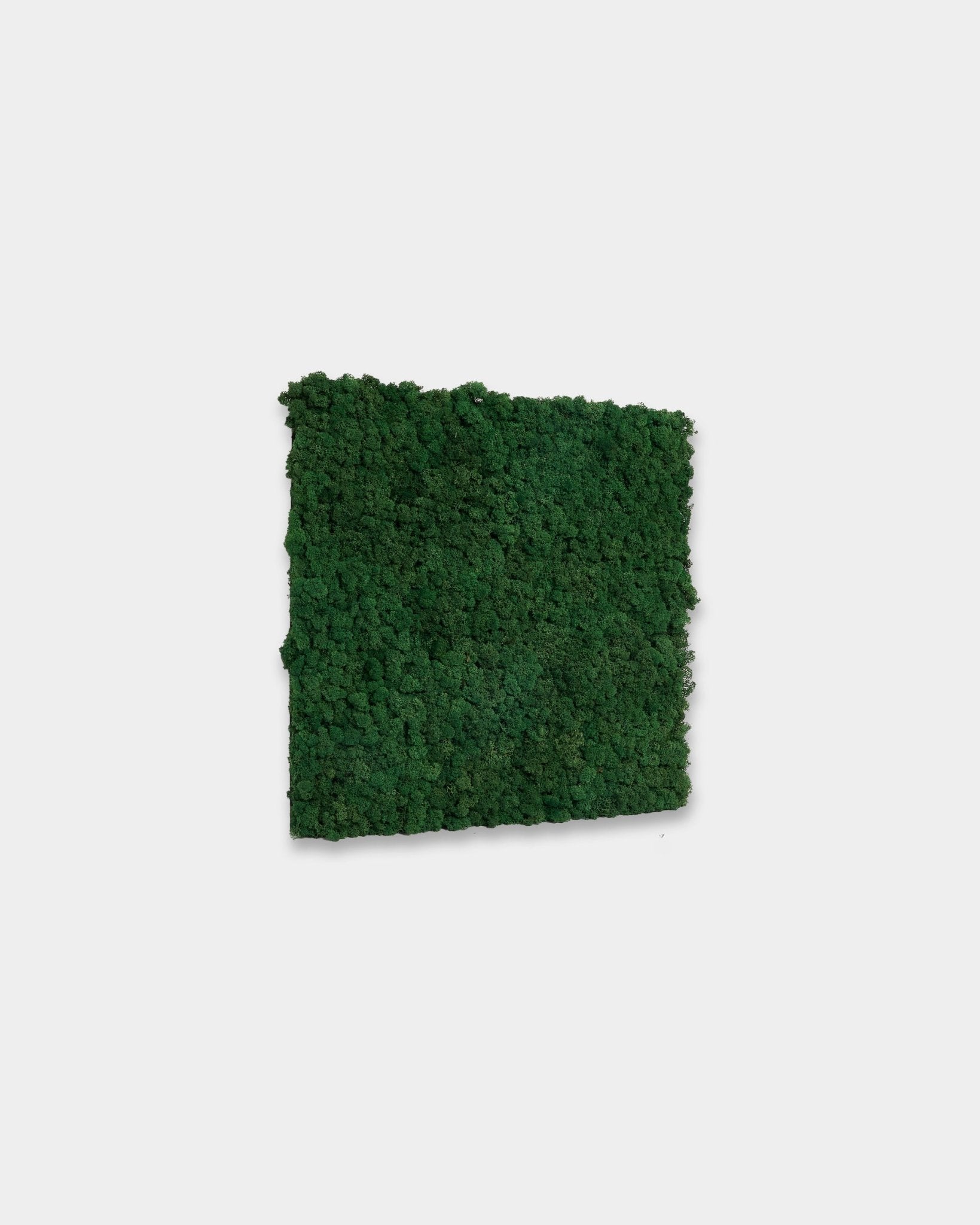 WoodUpp Akupixel Moss Green Painel acústico (60 x 60 cm) com uma cor moss green vibrante, apresentado sobre um fundo branco liso.