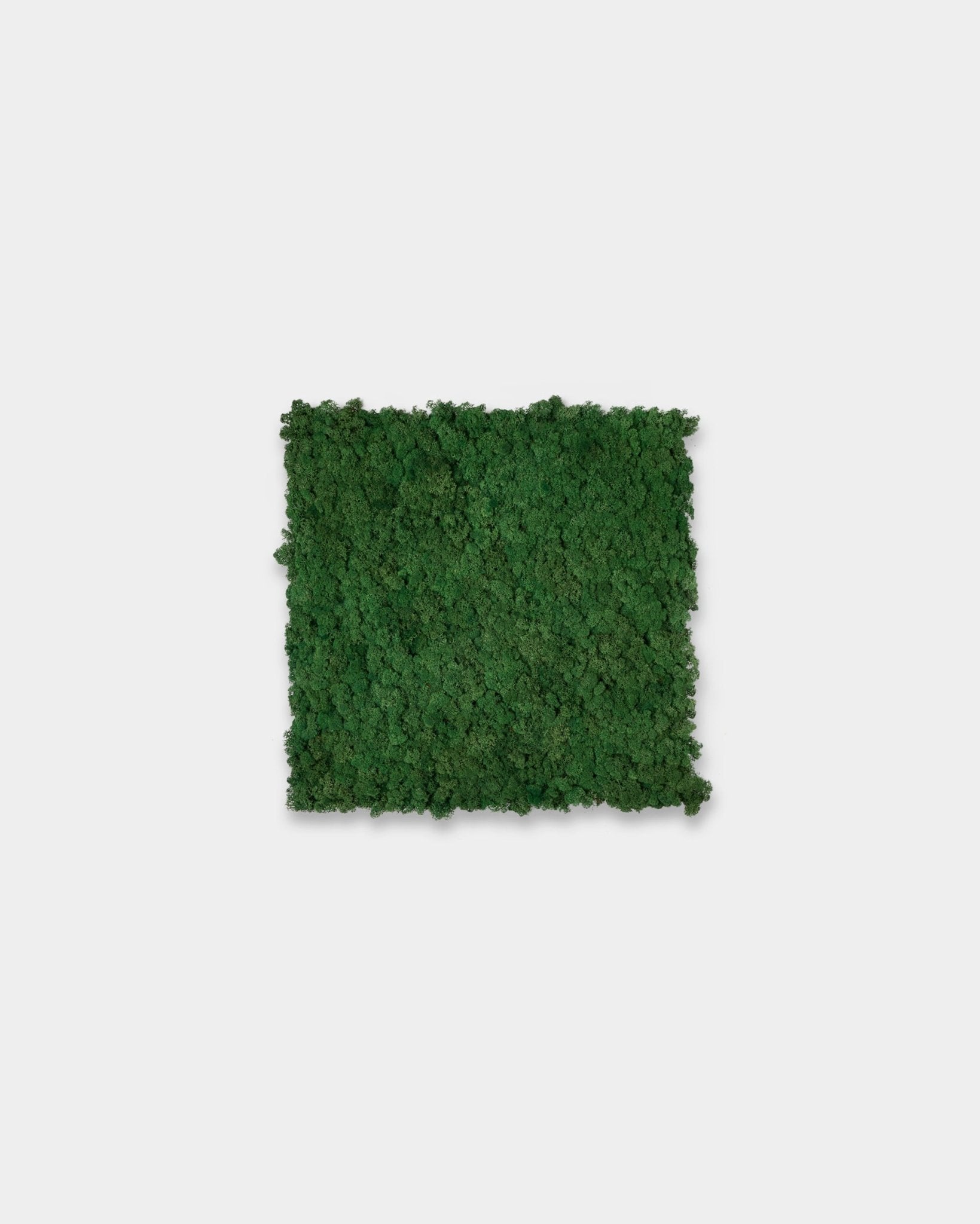 WoodUpp Akupixel Painel acústico em Moss Green (60x60 cm), com uma superfície quadrada texturada sobre um fundo branco liso.