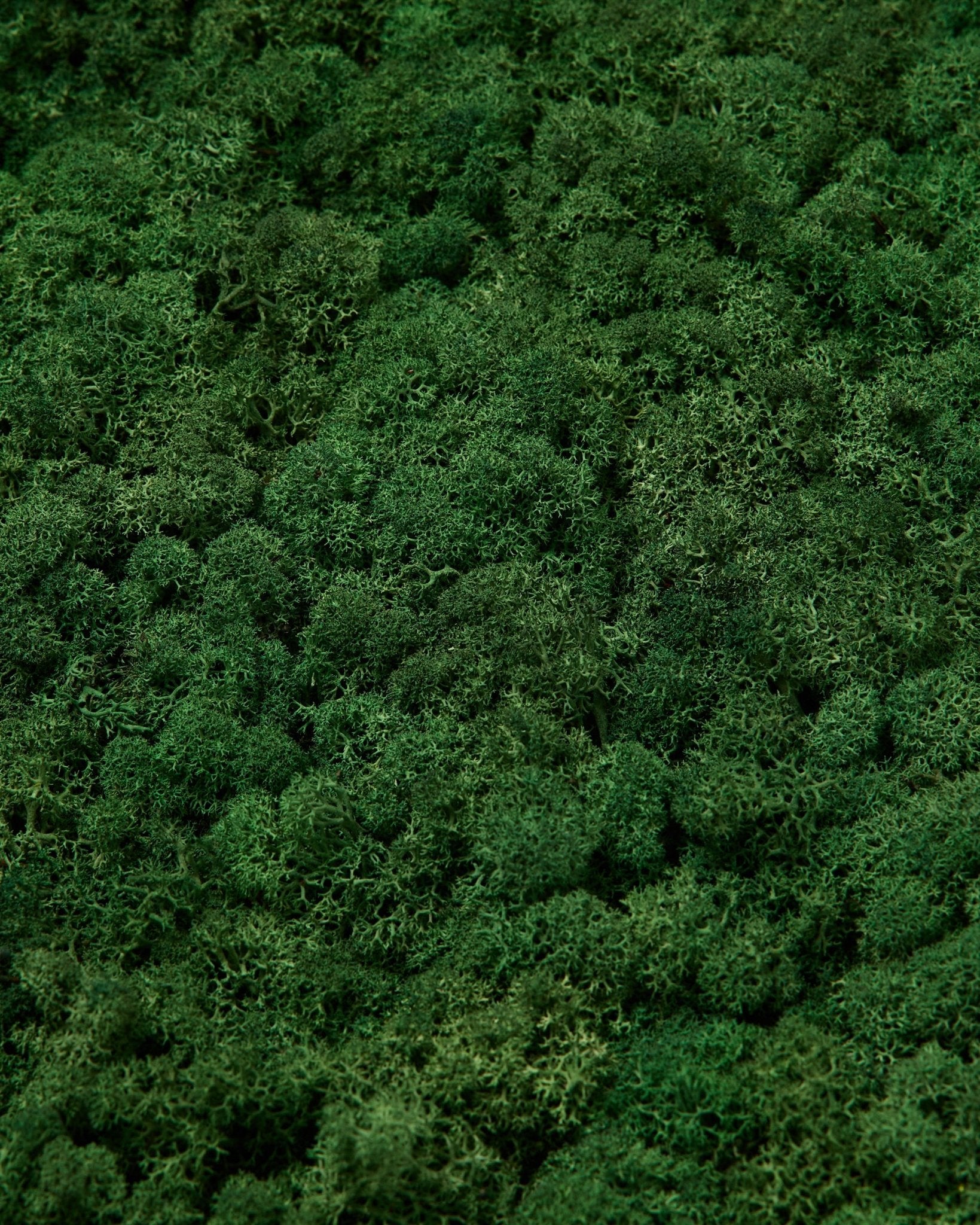 A amostra WoodUpp Moss em Moss Green apresenta uma superfície verde densa e vibrante, com textura rica e padrões naturais irregulares para painéis acústicos nórdicos.