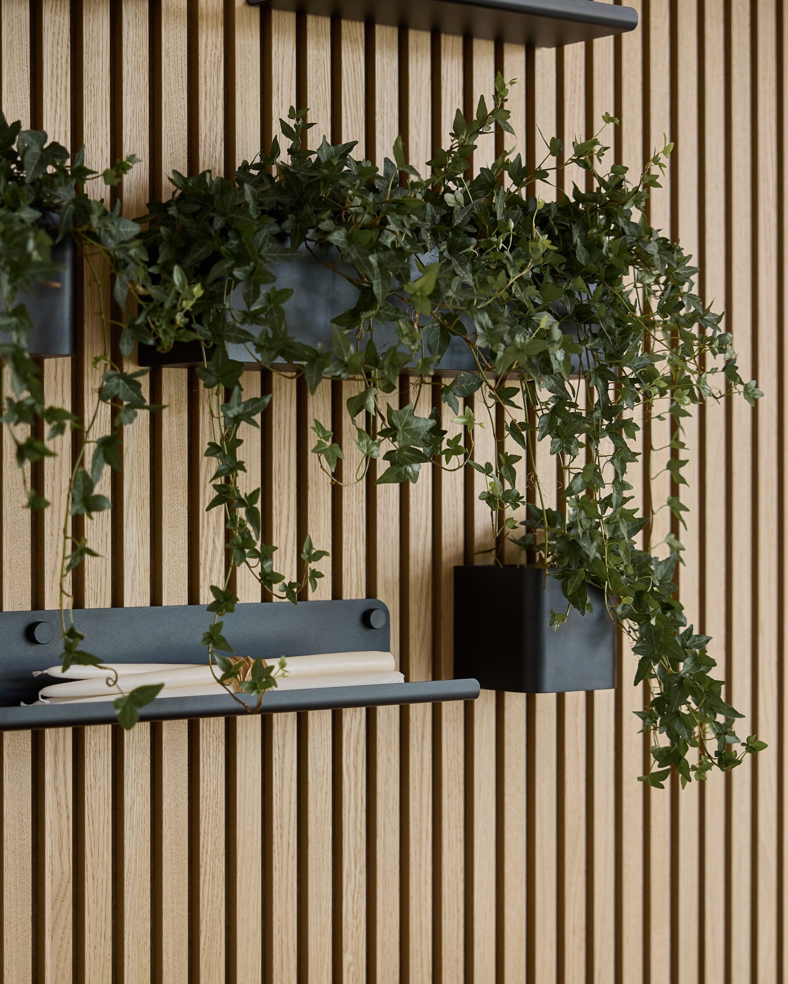 Hera verde pendente numa black Plant Box WoodUpp Norr (47,9 cm), montada num painel ripado WoodUpp Akupanel por cima de uma prateleira com uma toalha branca enrolada.