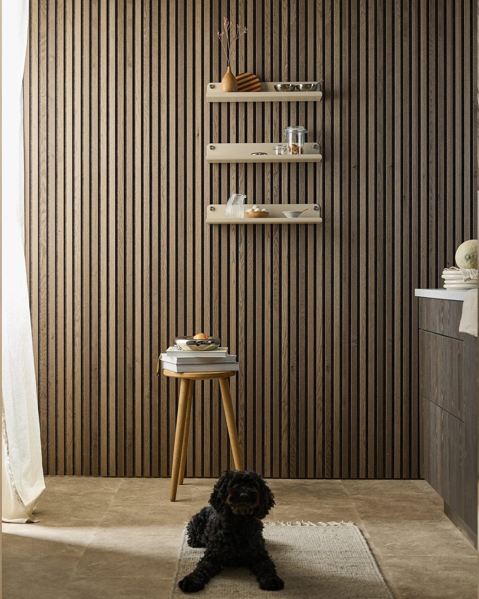 Um cão black está deitado sobre um tapete numa divisão moderna com uma parede Akupanel Painel acústico, a prateleira larga WoodUpp Norr beige (51,9 cm), um banco com livros e luz suave.