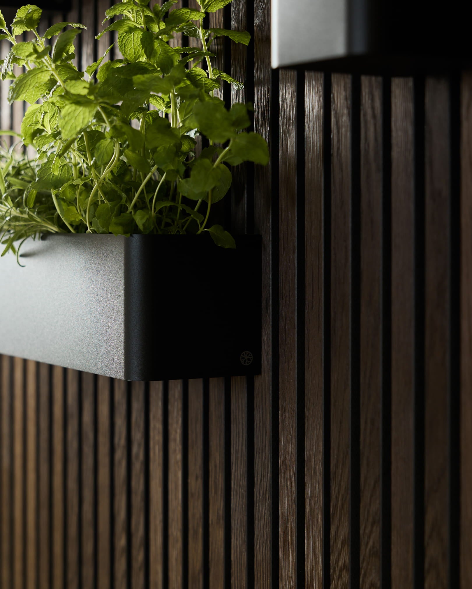 A Plant Box WoodUpp Black Norr (47,9 cm), em aço inoxidável steel, foi concebida para paredes verdes montadas em painéis acústicos ripados de madeira escura.