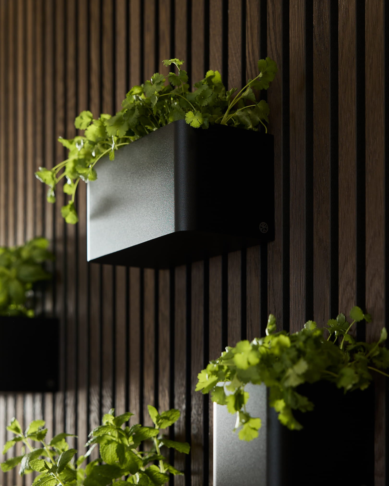 Black Norr Caixa para Plantas (23,9 cm) da WoodUpp, com plantas verdes montadas num Painel acústico Akupanel de madeira escura vertical.