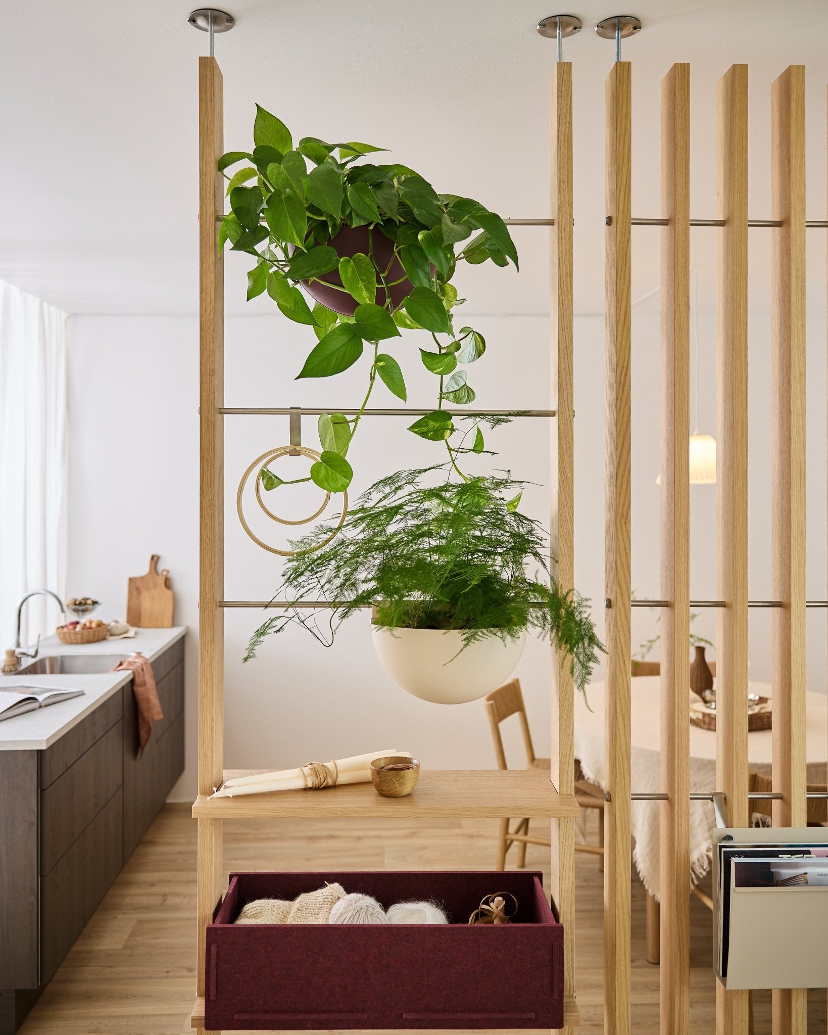 A divisória WoodUpp Gro Soft Pocket, com a caixa BM2 Ox Red e duas plantas suspensas, separa a cozinha da sala de jantar num apartamento luminoso e moderno.