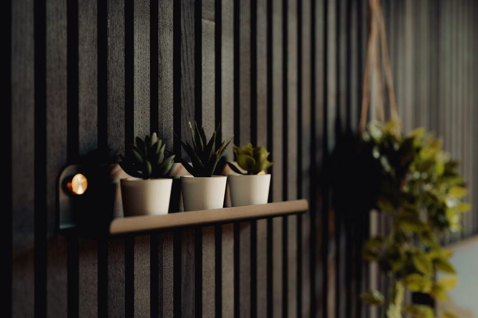 Três pequenos vasos de suculentas em uma prateleira flutuante montada em uma parede de painel de madeira acústica Akupanel em estilo nórdico escuro, com vegetação suspensa embaçada ao fundo.